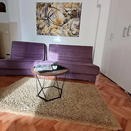 Veselinovic Free Parking 아파트