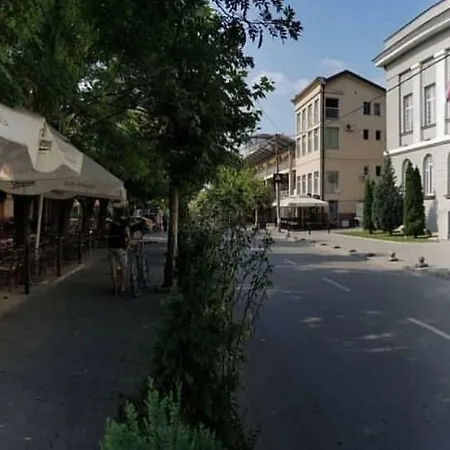 Veselinovic Free Parking 아파트 브라네