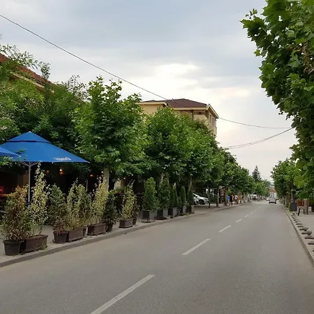 Veselinovic Free Parking