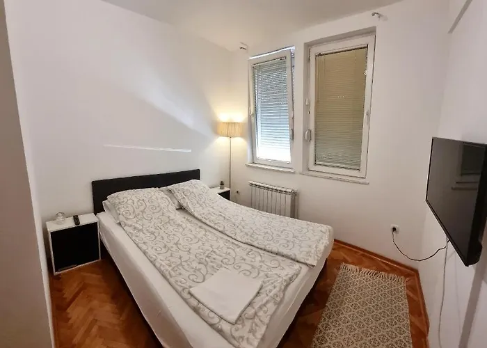 Veselinovic Free Parking *