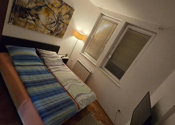 Veselinovic Free Parking