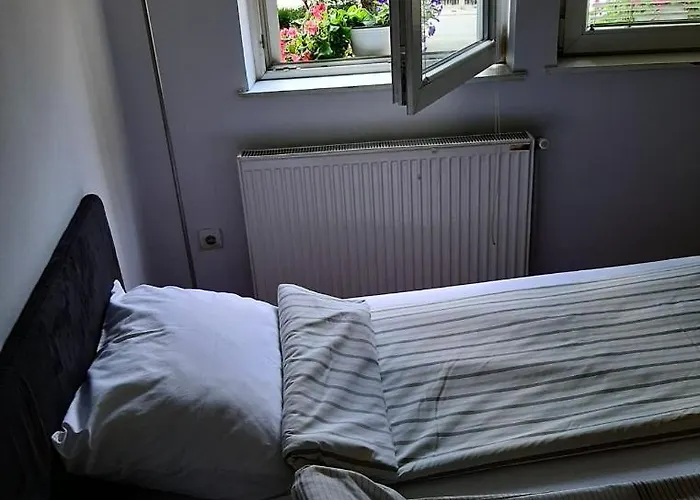 Veselinovic Free Parking *